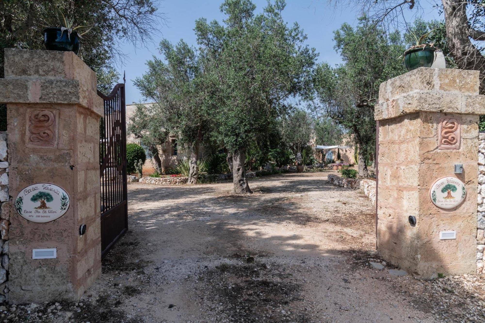 Case Fra Gli Ulivi Spongano المظهر الخارجي الصورة